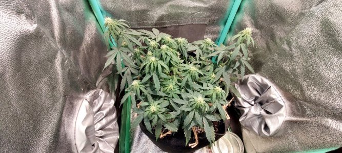 2023.11.19 - 46 день.jpg