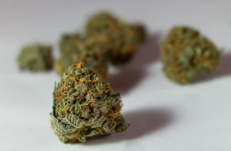 1700394766669.png 1700394766669.png