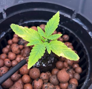 photo_10_2023-11-20_17-18-56.jpg photo_10_2023-11-20_17-18-56.jpg