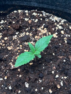 photo_11_2023-11-20_17-18-56.jpg photo_11_2023-11-20_17-18-56.jpg