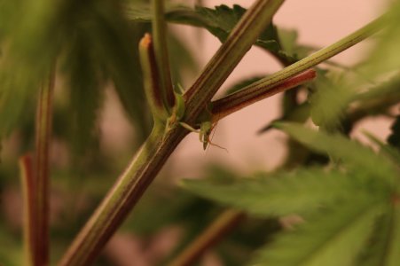 photo_2_2023-11-20_22-23-08.jpg photo_2_2023-11-20_22-23-08.jpg