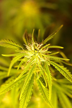 photo_3_2023-11-20_22-23-08.jpg photo_3_2023-11-20_22-23-08.jpg