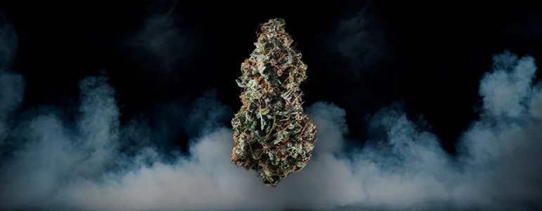 121123.jpg 121123.jpg