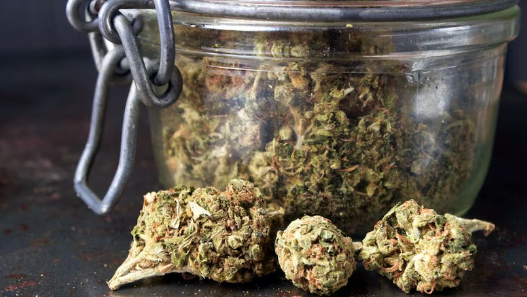 1700830260877.png 1700830260877.png