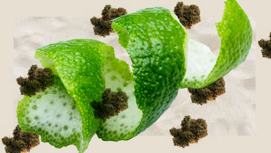 1700830298221.png 1700830298221.png