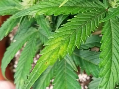 IMG20231125131149.jpg IMG20231125131149.jpg