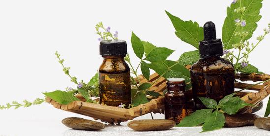 1701104496113.png 1701104496113.png