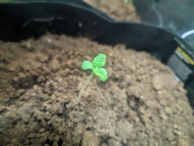 photo_2023-11-28_18-12-36 (4).jpg