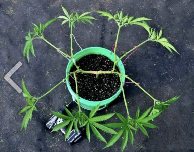 IMG_3759.jpeg IMG_3759.jpeg