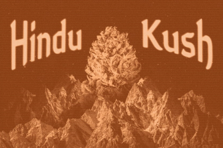 1701363595492.png 1701363595492.png