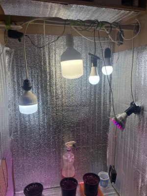 d4059fc2-c89f-42dc-ba84-1b900cbb3199.jpg d4059fc2-c89f-42dc-ba84-1b900cbb3199.jpg