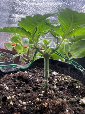 IMG_3873.jpeg IMG_3873.jpeg