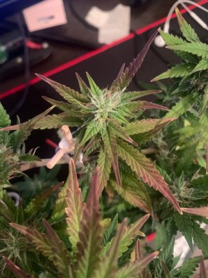 photo_2023-12-22_19-38-45 (2).jpg