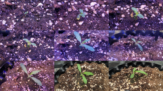 1703450804744.png 1703450804744.png