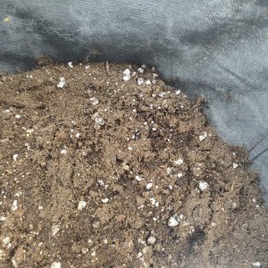 IMG20231227105147.jpg IMG20231227105147.jpg