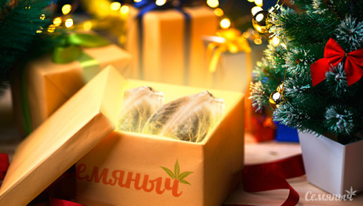 1703748848947.png 1703748848947.png