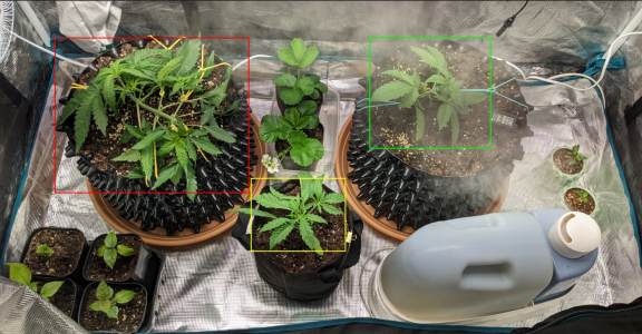 1704397894821.png 1704397894821.png