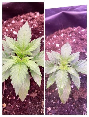 photo1705325845 (3).jpeg