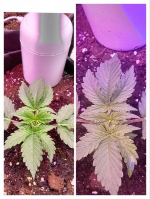 photo1705325845 (1).jpeg