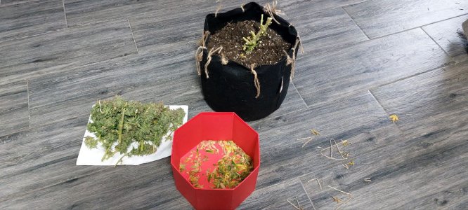 2024.01.12 - харв.jpg 2024.01.12 - харв.jpg