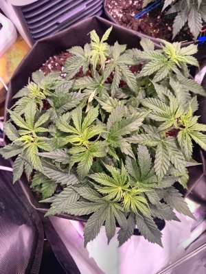 photo1705540006 (2).jpeg