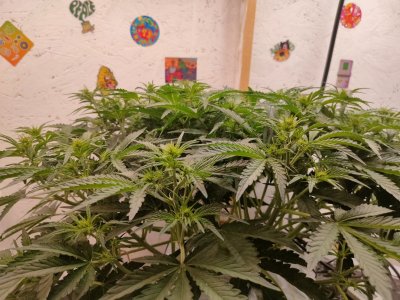 IMG20240127183012.jpg IMG20240127183012.jpg