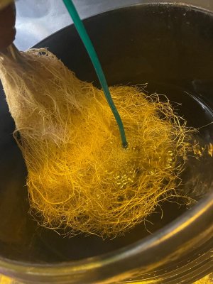 Корневая первого растения.jpeg