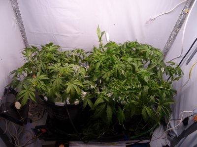 Image00021.jpg Image00021.jpg