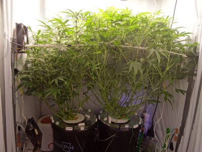 Image00051.jpg Image00051.jpg