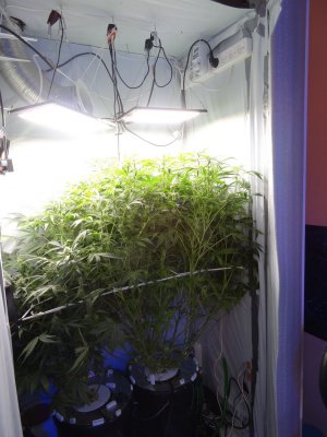 Image00073.jpg Image00073.jpg