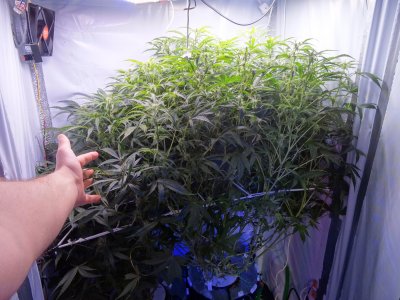 Image00080.jpg Image00080.jpg