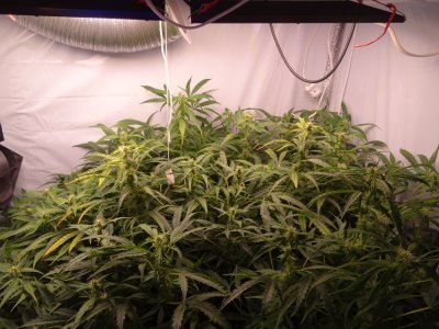 Image00097.jpg Image00097.jpg