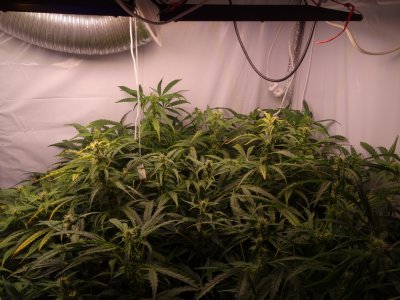 Image00096.jpg Image00096.jpg