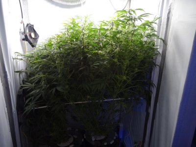 Image00093.jpg Image00093.jpg