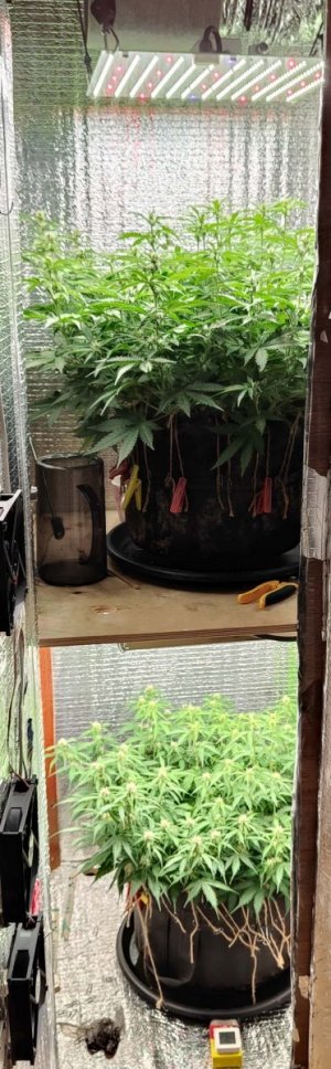 Общий план.jpg