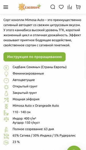 Mimosa auto fem 2.jpeg