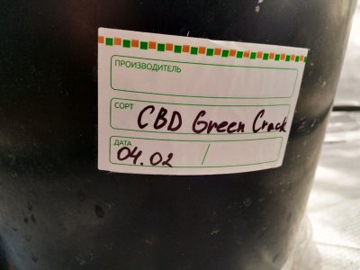 IMG_20220207_130938_901.jpg IMG_20220207_130938_901.jpg