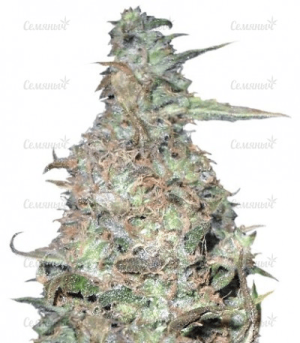 1644443110755.png 1644443110755.png