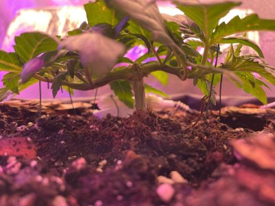 12.02.2022 2.jpg 12.02.2022 2.jpg