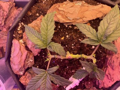 13.02.2022 4.jpg 13.02.2022 4.jpg