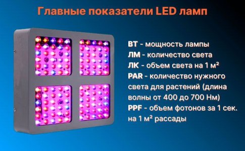 Принцип работы фитоламп