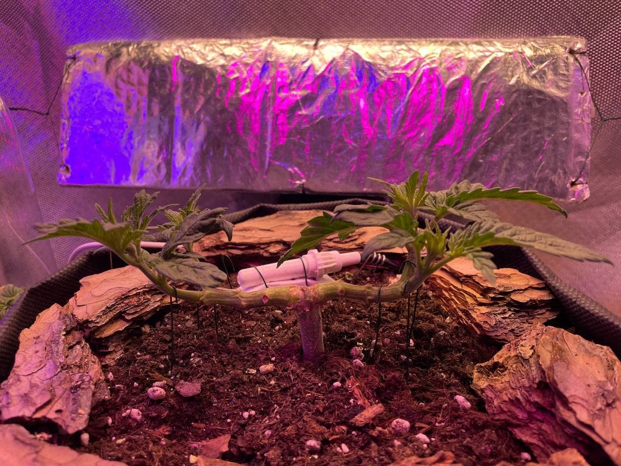 18.02.2022.jpg 18.02.2022.jpg