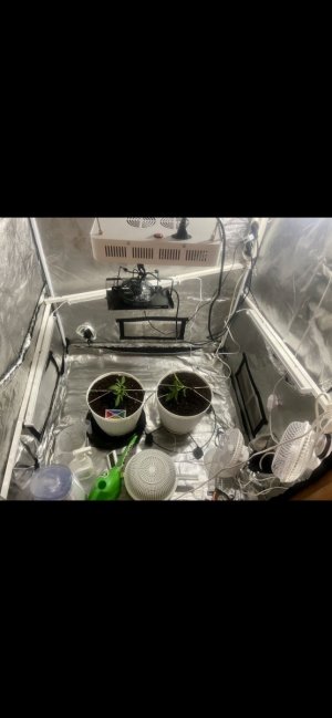 11.февраля .jpeg