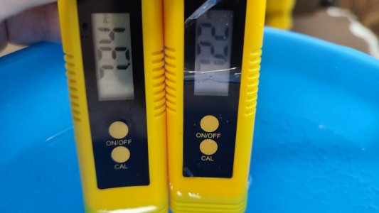 IMG_20240302_134352.jpg IMG_20240302_134352.jpg