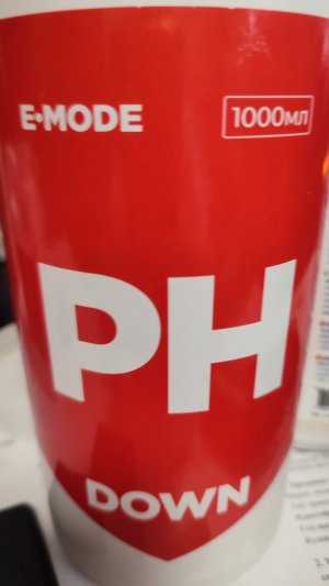 IMG_20240302_134649.jpg IMG_20240302_134649.jpg