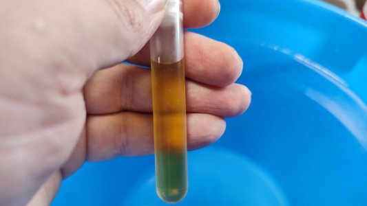 IMG_20240302_135529.jpg IMG_20240302_135529.jpg