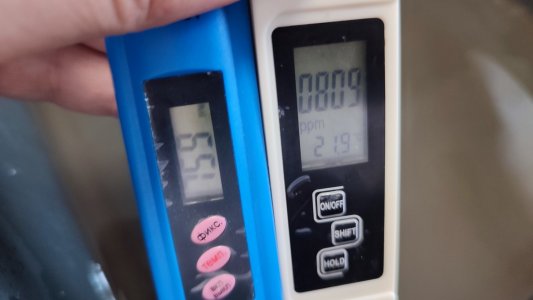 IMG_20240302_141159.jpg IMG_20240302_141159.jpg