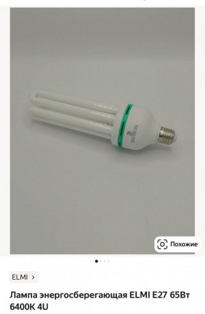 IMG_0444.jpeg IMG_0444.jpeg