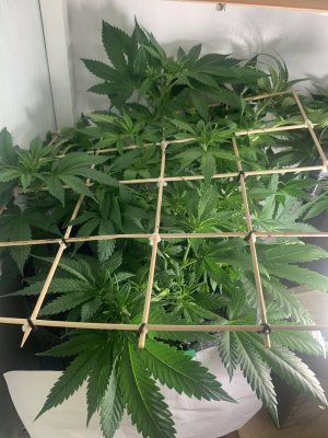 IMG_0461.jpeg IMG_0461.jpeg