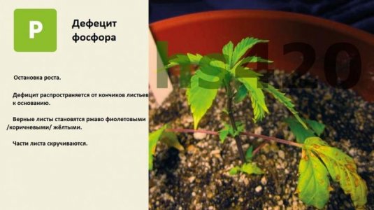 tfeqqek8_cleaned.thumb.jpeg.211c98be7e9fc62afcacc2aaad4fbba6.jpeg tfeqqek8_cleaned.thumb.jpeg.211c98be7e9fc62afcacc2aaad4fbba6.jpeg